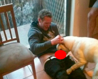 Illustration for article titled What We Talk About When We Talk About A Dog Blowing An Australian Rugby Player (NSFW)